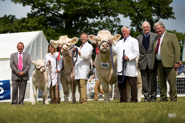 From left to right, the judge Steve Nesbitt, Carolyne Milne with Elgin Iona, her husband Matthew with Elgin Catherine (supreme champion charolais) Jim Muirhead with Maerdy Grenadier (charolais male champion and reserve champion) David Walter and BCCS President Gilbert Crawford