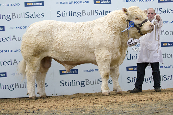 Charbron Heredity at 12,000gns