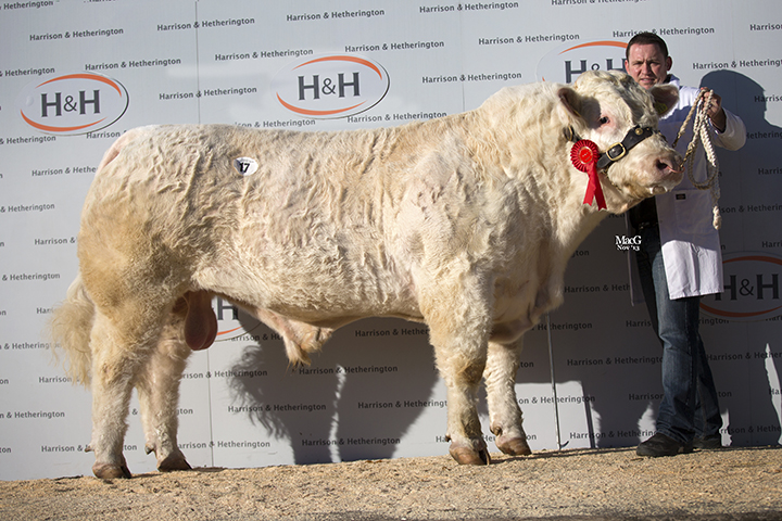 Eoinrua Harty at 6,000gns