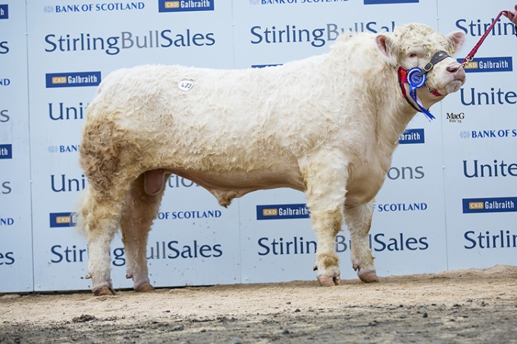 Goldies Icon at 10,000gns