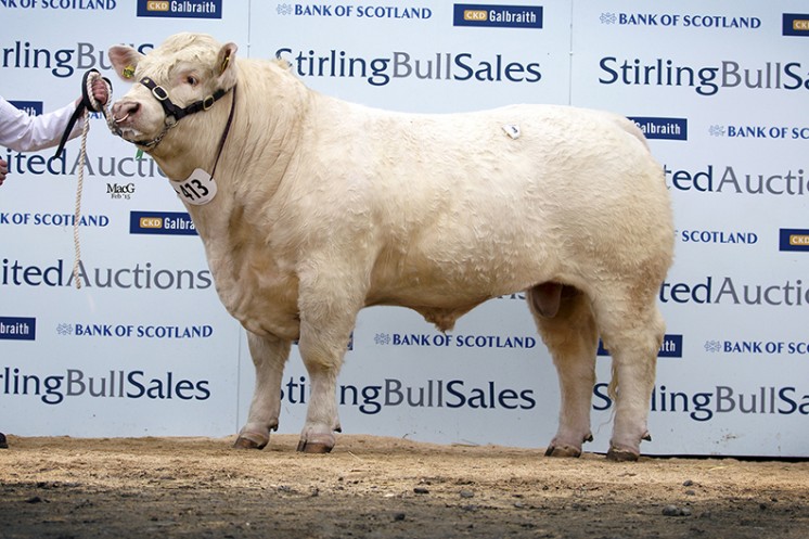 Gretnahouse Intouch at 9,500gns