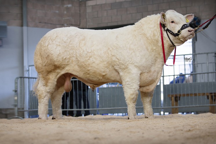 Harestone Inverness at 10,000gns