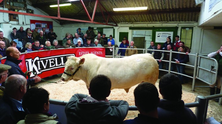 Philip Heard sold Meldon George for 3,400gns