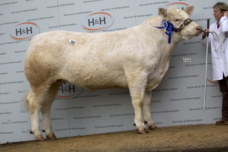 Holtstead Faberge at 6,500gns