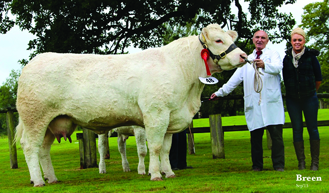 Best Cow & calf Coolnaslee Diane shown by Sam Milliken sponsored by Donnelly Quarry represented by Eimear McGovern