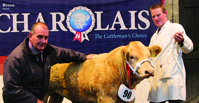 Class winner male calf class owned by Clive Hoey with Geoffrey Farlow Bothwells Farm Supplies sponsor