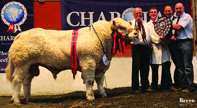 Derryharney Happyharry Male Champion owned by Mr H C Stubbs & Mr A A Burleigh with judge Ian Bell 
