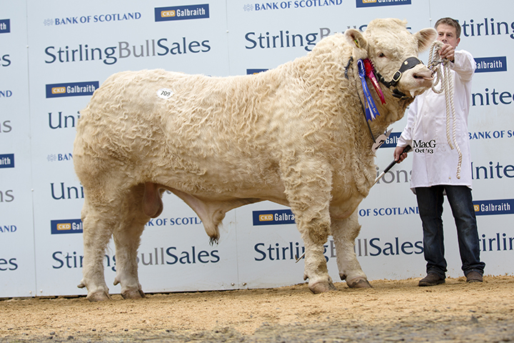 Maerdy Huntly the reserve intermediate champion passed the ring unsold