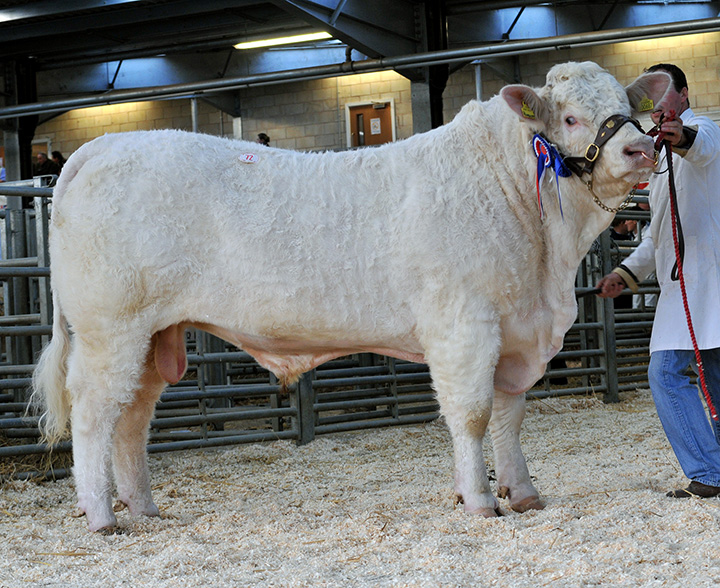 Montgomery Hublot at 5,800gns