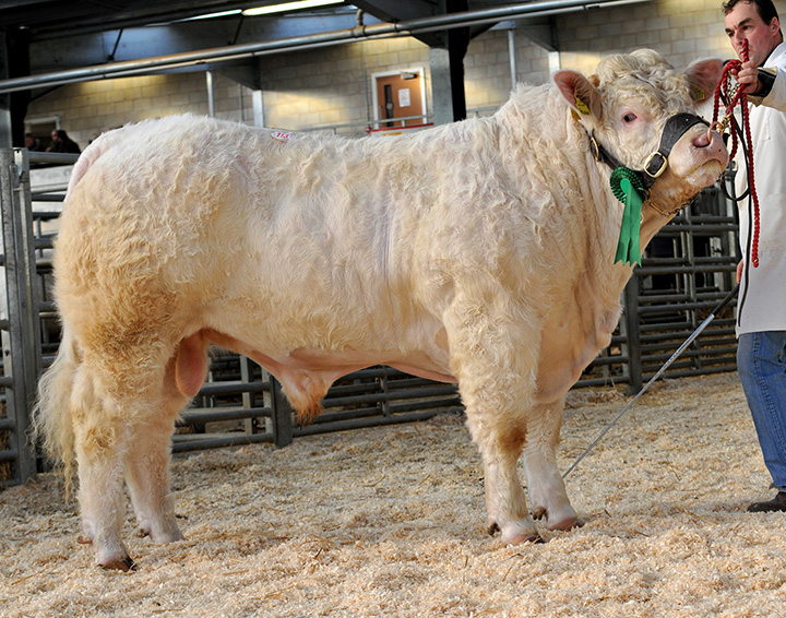 Montgomery Huw at 6,000gns