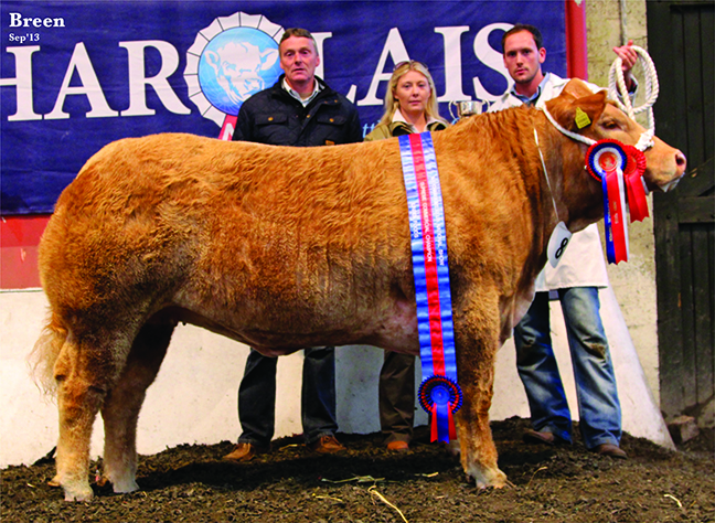 Supreme Commercail Champion at National Charolais Show owned by S & K Willaimson with judge Sharon Rothwell & Sponsor Keith