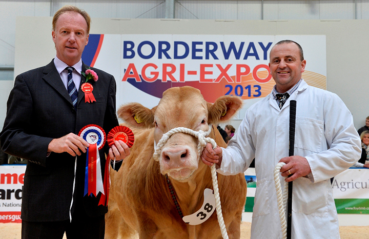 The BCCS Chairman Alasdair Houston presented Robin Roberts with his prize on winning the Charolais steer section with R & L Roberts "Tied the knot"