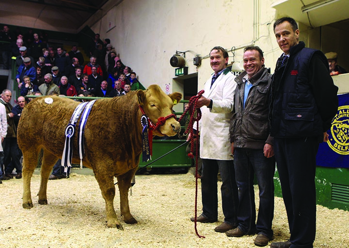 Overall Reserve Supreme Champion owned by Declan & Fergal McKenna, Clogher with Cormac McKervey Ulster Bank main sponsor of event