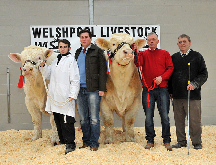 From left to right: Tom Boden with the Champion bull Sportsmans Harrypotter, the judge Stuart Barclay and Jimmy McMillan and Richard MacInnes with the reserve champion Twomacs Hitman