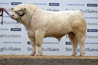 Lochend Hickory, 22,000gns