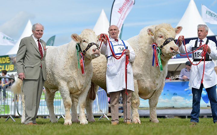 Mr Billy Robson OBE, judge with the Interbreed Pairs Coolnaslee Helga and Rumsden Fawkes