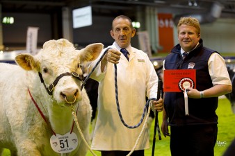 Gareth Scott from Cogent sponsored a bull class won by Danny Wyllie and Newroddige Imp
