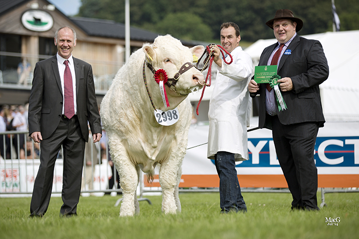 Chris Williams with the reserve male champion Montgomery Ianto exhibited by Roberts & Jones