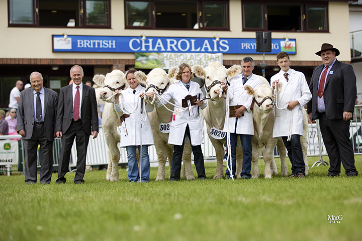 Mr & Mrs Andrew White's Balbithan team won the best group of three Charolais owned and bred by exhibitor
