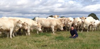 Johnathan Watson with the Tweeddale Herd