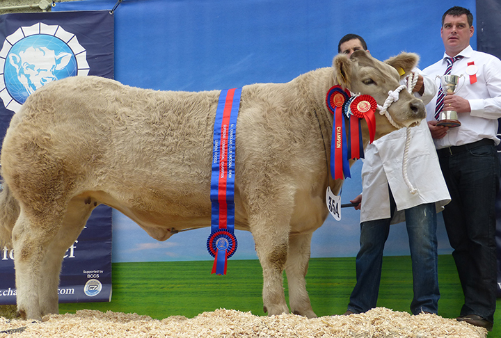 The Supreme Commercial Champion owned by Mr A Veitch with Mr P Fay of Linden Foods Ltd