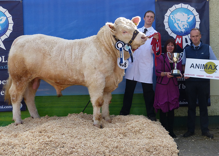 Philip Johnston ANIMAX Champion Young Handler with judge Alison Connolly, Neil Acheson Animax sponsor