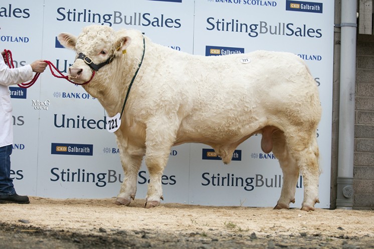 Kersknowe Iron at 10,500gns