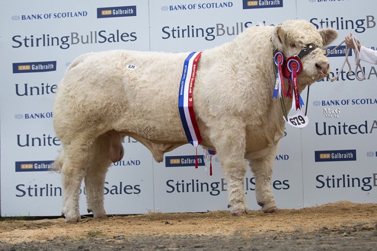 The senior and overall supreme champion Marne Impeccable at 10,000gns