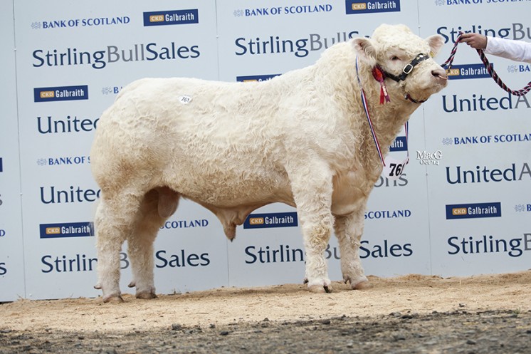 Westcarse Imperial at 9,000gns