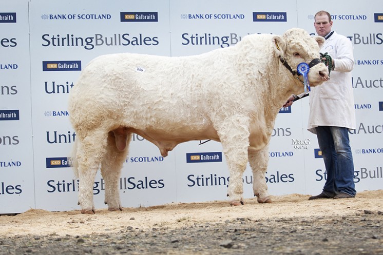 Coolnaslee Ivanhoe at 10,000gns