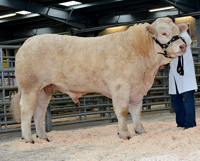 Caylers Imperial at 5,000gns