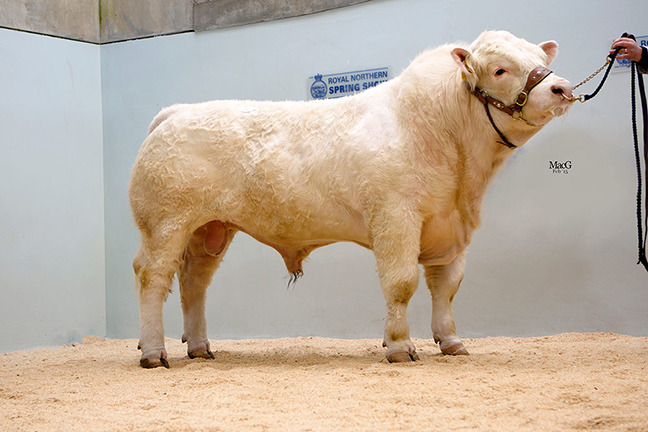 Kinclune Ideal 8,500gns