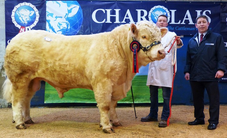 Tullygarley Imp fetched highest price of 5,400gns, exhibited by JK Currie with Rodney Brown from sponsors Danske Bank