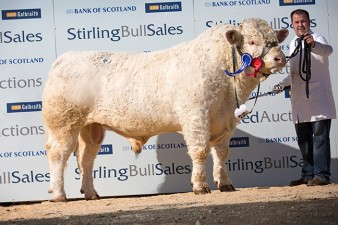 Ballinlare Indepence 5,500gns