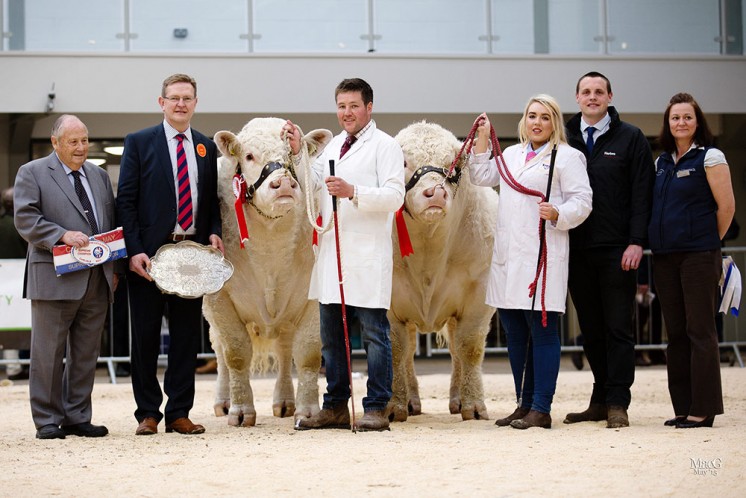 Left to right, President Mervyn Parker, judge Chris Curry, Neil Blyth with the supreme senior champion Marwood Intrepid, Eimear McGovern with the reserve senior and reserve supreme champion Ratoary Irishman, Murray Smith (Harbro) and Carol Rickerby (In-Livestock)