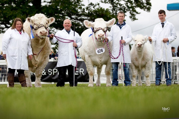 Reserve Interbreed Pairs Competition Balthayock Imp – Major DFWH & NR Walter Glenericht Hester – Messrs WK & P Drysdale 