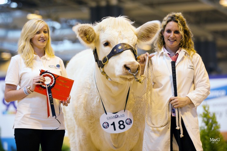 Class 4 – Frankie Baines from Field Farm Tours congratulated Michelle Hanson on her success with Marne Jojo