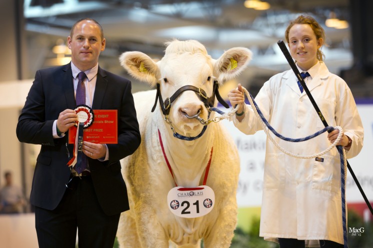 Class 5 – Kivells auctioneer Mark Davies presented Roma Wyllie with a red ticket on winning a class with Newroddige Jody