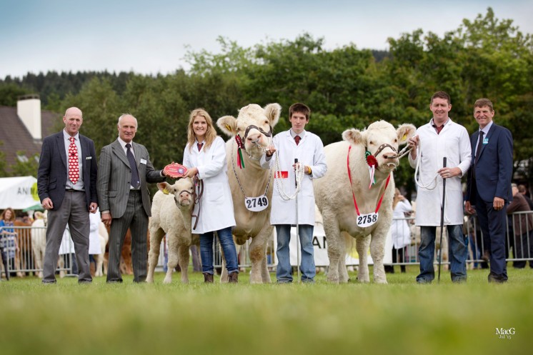 THE FEMALE CHAMPIONS Gretnahouse Fannabel is joined by the reserve champion Sportsmans Infanta shown by Nairn Wyllie.  On the left is the Animax sponsor Iwan Davies