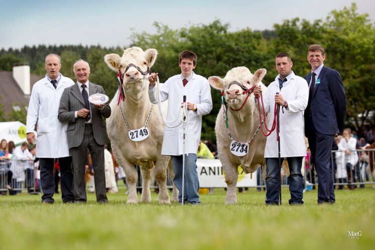 THE CHAMPIONS L to r: Kevin Thomas, BCCS President Cyril Millar, Jim Wale with the champion Charolais Gretnahouse Fannabel, Medwyn Williams with the male champion and reserve supreme champion Castellmawr Jacpot and the judge Cyril Millar