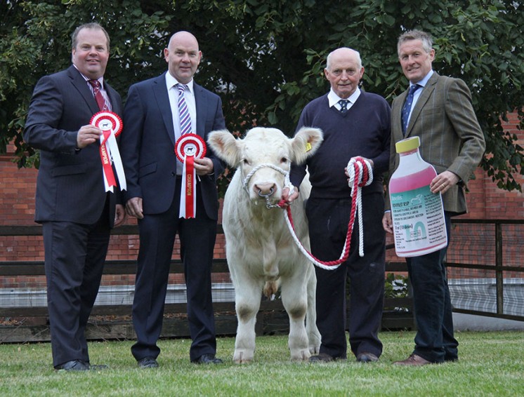 Pictured at the launch of the 2015 Pedigree Calf Fair and Beef NI Expo are, event chairman David Connolly; NI Charolais Club members Sean McGovern and Albert Connolly; with sponsor Ian Graham, MSD Animal Health.
