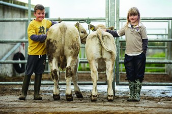 Ciaran and Chloe MacIntyre were winners of the Kinross Show Young Handlers Competition with calves from the Greig Farms unit