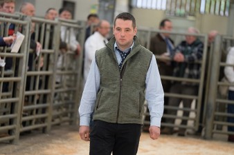Picture Tim Scrivener 07850 303986 tim@agriphoto.com ….covering agriculture in the UK….