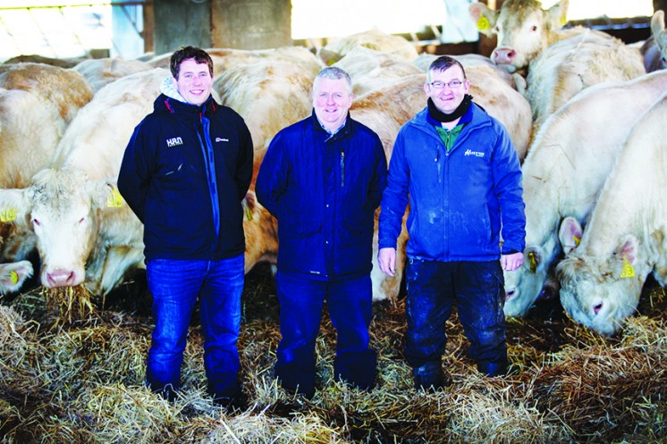 Stuart and Neil Barclay with stockman, Sean O'Brien