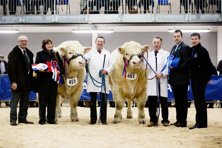 From left to right: BCCS President Cyril Millar, Sheena Gatherer, Tom Gatherer with the supreme champion Barnsford Jubilant, Adrian Richardson with the reserve champion Hillviewfarm Judge, the judge Ben Harman and the Bank of Scotland sponsor David Murray