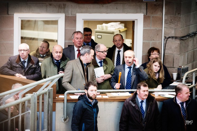 The auctioneer David brown had plenty of support in the rostrum