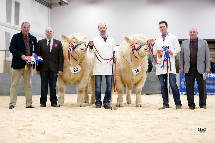 David Benson with Judge Lee Coghill, Mike Massie and Champion Justice, Alex Stephen with Reserve Jagger and Steward Roy Milne