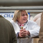 The British Charolais Cattle Society show and sale,Welshpool Livestock Market Picture Tim Scrivener 07850 303986 scrivphoto@btinternet.com ….covering agriculture in the UK….