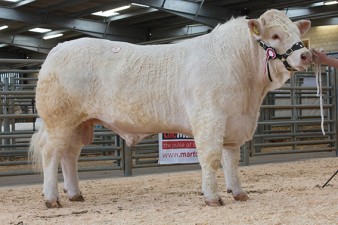 Top Price Maerdy Jogger 9,000gns