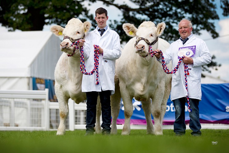 The winner of the best pair of Charolais cattle owned and bred by exhibitor were the Balthayock pair of Balthayock Jemima and Balthayock Jade